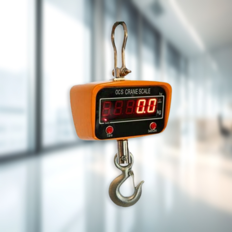 Crane Scale