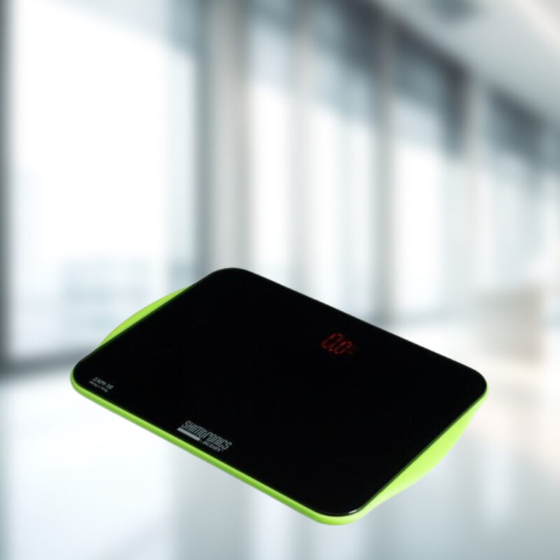 Electronic Bathroom Scale