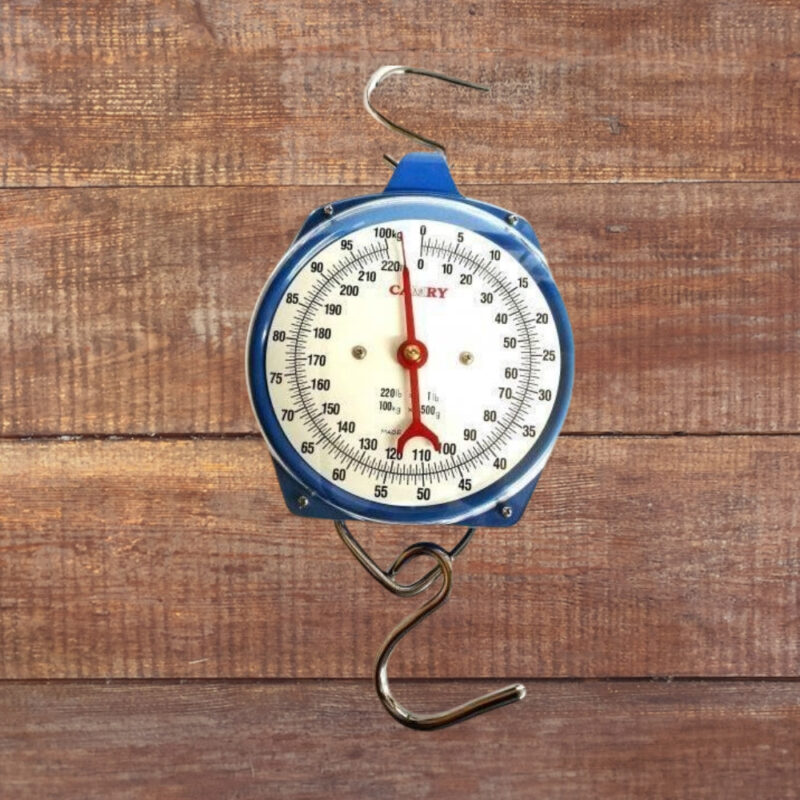 Mechanical Hanging Scale
