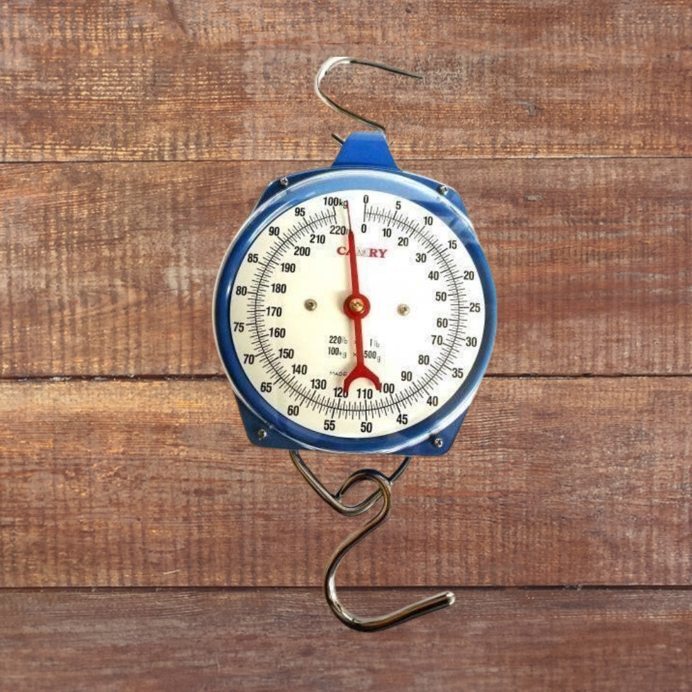 Mechanical Hanging Scale